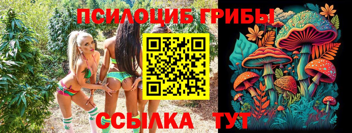 Псилоцибиновые грибы Magic Shrooms Нижневартовск