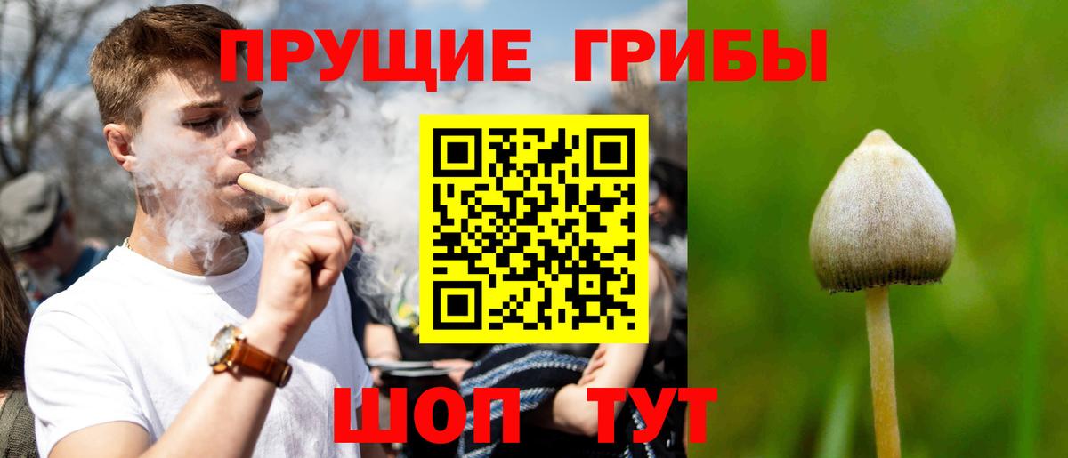 Нижневартовск  Галлюциногенные грибы Psilocybine cubensis  Вход с VPN 